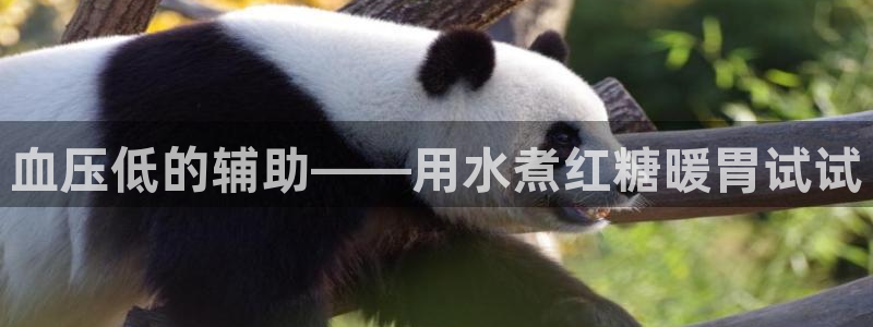 天辰天富娱乐登录