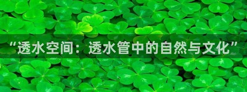 天辰娱乐平台注册