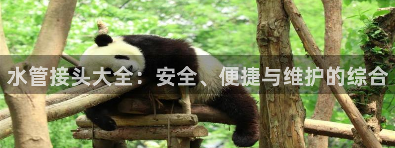 天辰娱乐平台安全吗