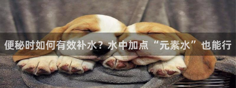 天辰娱乐下载链接