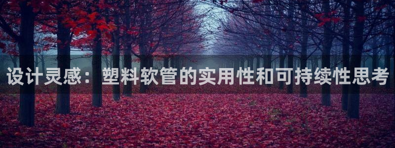 天辰娱乐平台app下载