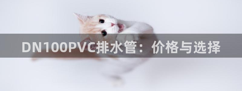 天辰娱乐平台地址