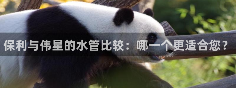 天富娱乐天辰娱乐